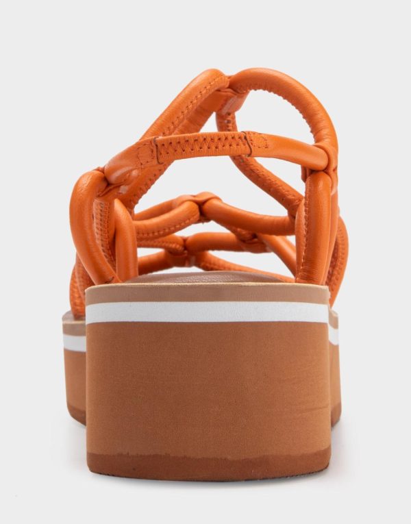 Happyru.shop74557e9d02 5