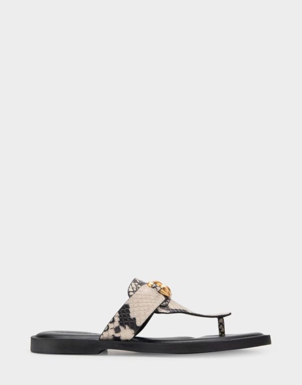 Happyru.shopba4d4a1441 1