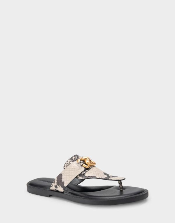 Happyru.shopba4d4a1441 2