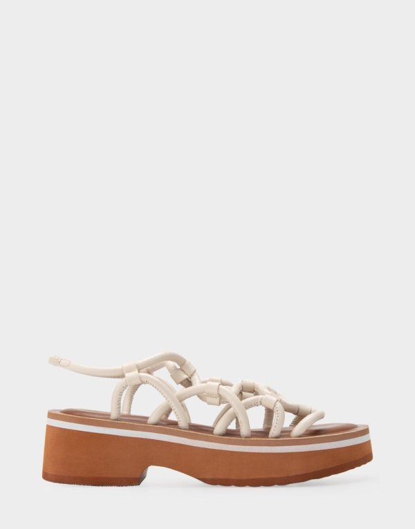 Happyru.shope8286a7da9 1